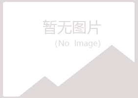 偃师岑迷计算机有限公司